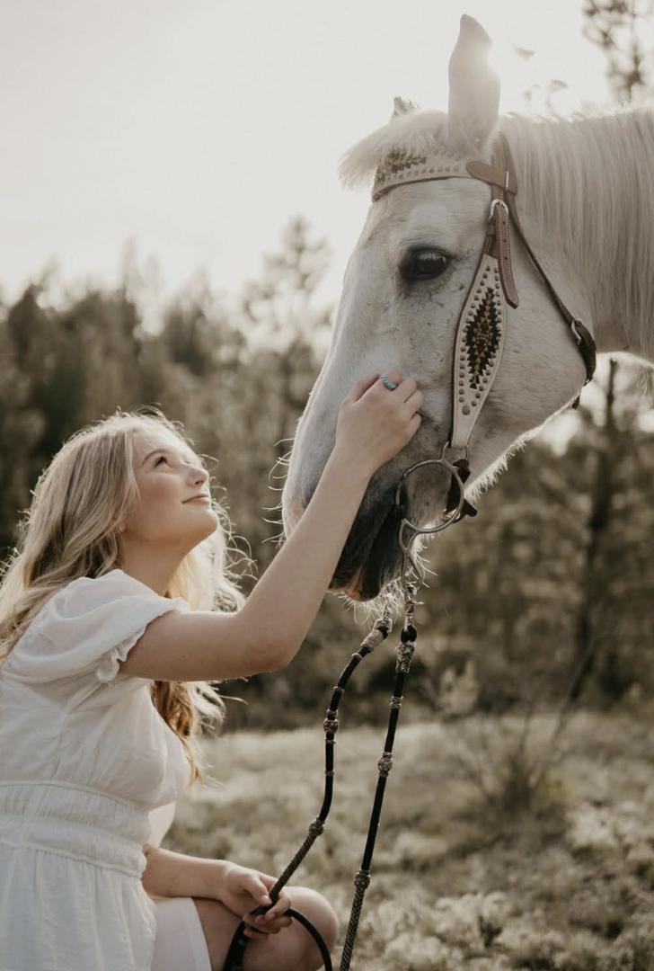 Golden Hour Horse Mini Sessions