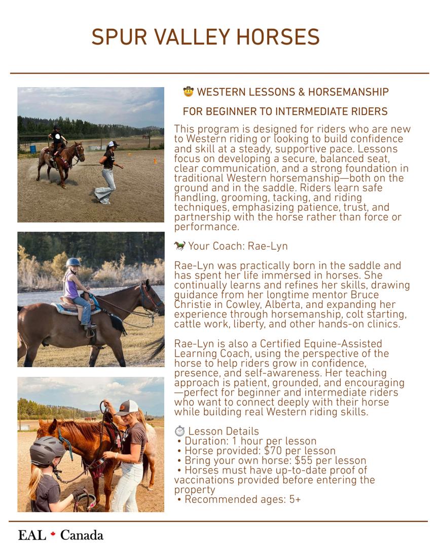Western Lessons & Horsemanship