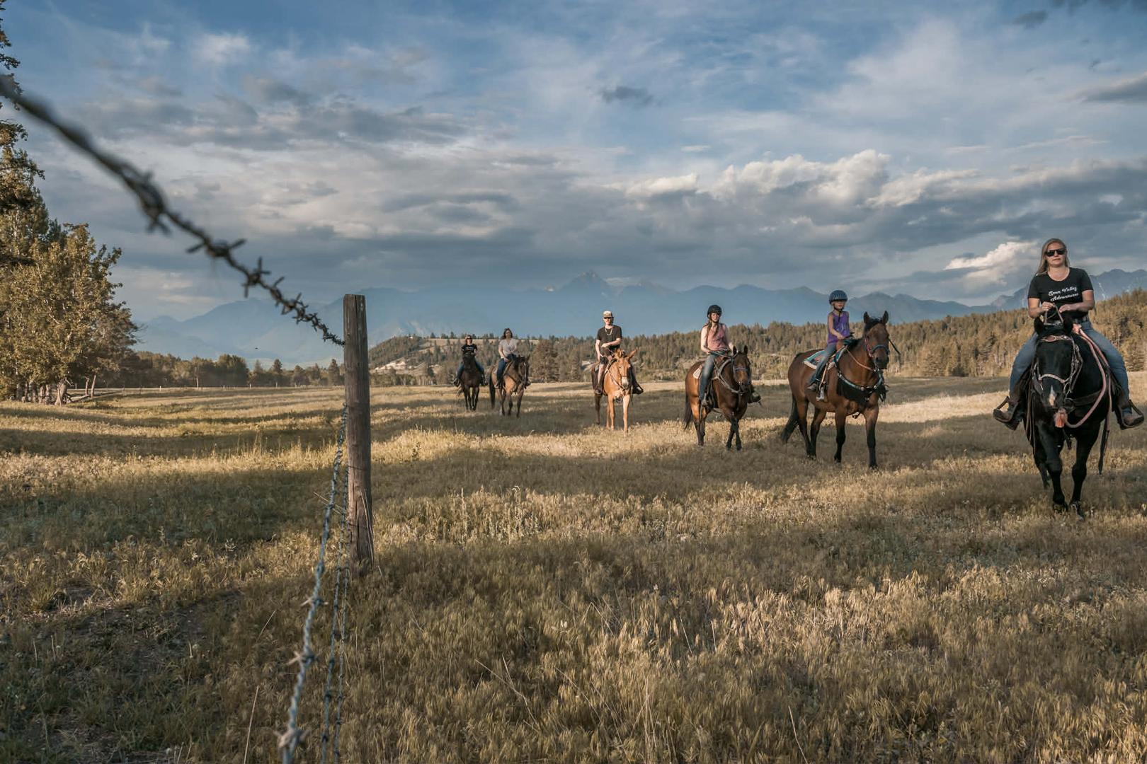 Volunteer Wrangler Program